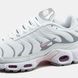 Nike Air Max Tn Plus 2484 фото 6