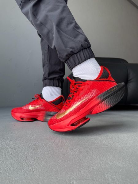 Nike Air Zoom Alphafly Next% 2 ALL20293 фото
