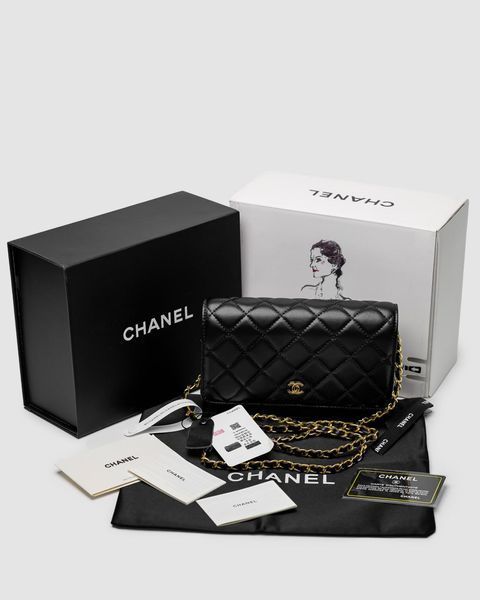 Сумкa Chanel Classic Wallet on Chain 99365 фото
