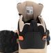 Adidas Terrex AX4 Gore-Tex