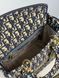 Сумкa Christian Dior Medium Lady D-Lite Bag Blue/Beige 99164 фото 13
