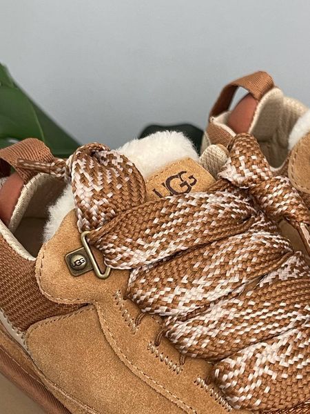 UGG Lowmel Sneaker Platform Chestnut 1700 фото