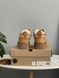 UGG Lowmel Sneaker Platform Chestnut 1700 фото 6