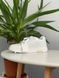 Off White  For Walking White Black Logo 1599 фото 12