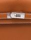 Сумкa Hermes Kelly 25 Brown/Silver 99906 фото 4