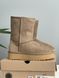 UGG Short Platform Khaki 1719 фото 2