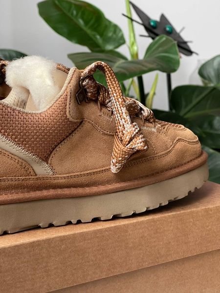 UGG Lowmel Sneaker 1460 фото