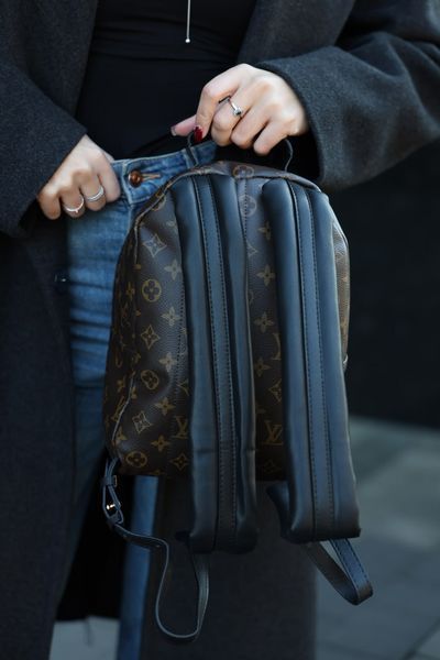 Louis Vuitton Palm Springs PM Brown/Black 991080 фото