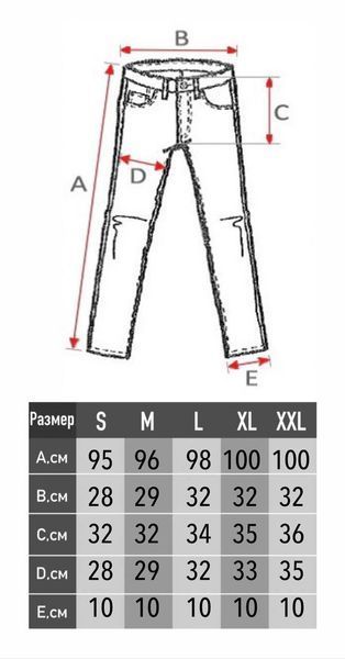 Спортивные штаны The North Face 958792 фото