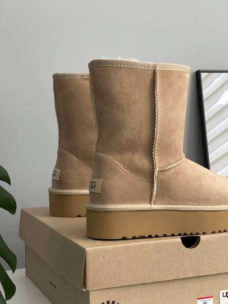 UGG Short Platform Beige 1716 фото