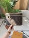 Louis Vuitton Nice BB Vanity Case Monogram Canvas