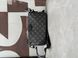 Louis Vuitton Pochette Accessoire XL Monogram Eclipse Grey 77282 фото 12