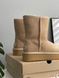 UGG Short Platform Beige 1716 фото 4
