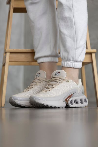 Кроссівки Nike Air Max DN 1421 фото