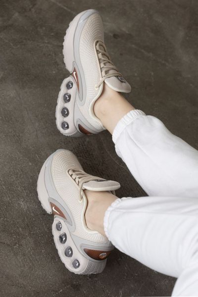 Кроссівки Nike Air Max DN 1421 фото