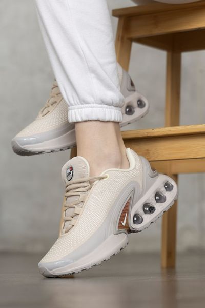 Кроссівки Nike Air Max DN 1421 фото